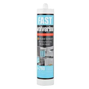 Keo Silicone (Sealant)